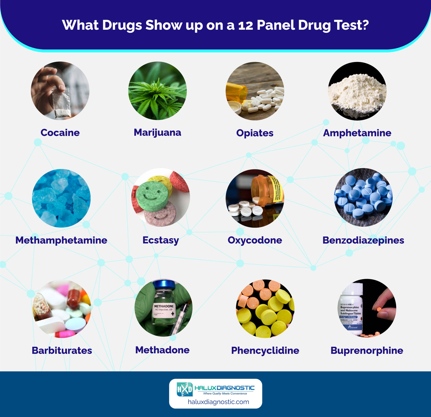 12 panel drug tests