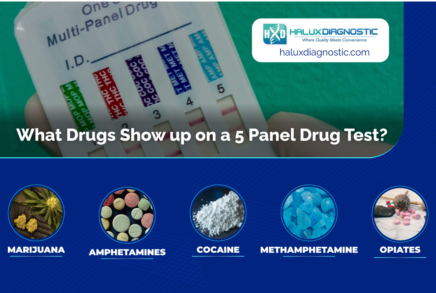 5 panel drug tests